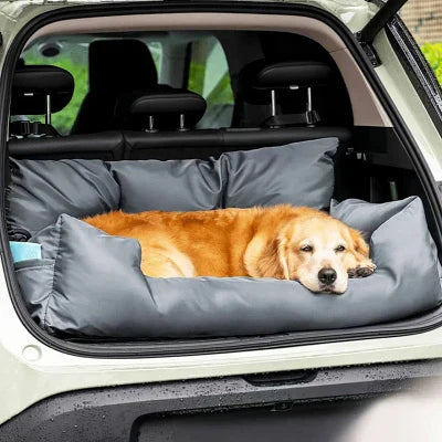 Voyager en voiture avec son chien : conseils et sécurité