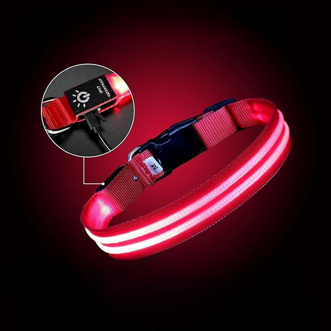 Collier LED pour Chien : sécurité et style pour vos promenades nocturnes | Coinpourchien