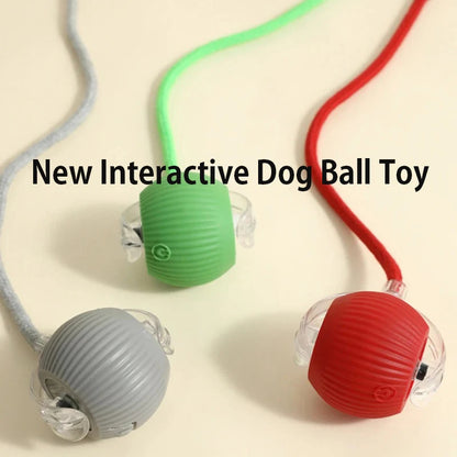SmartBall™ 2025 Interactive Intelligent Dog Toy