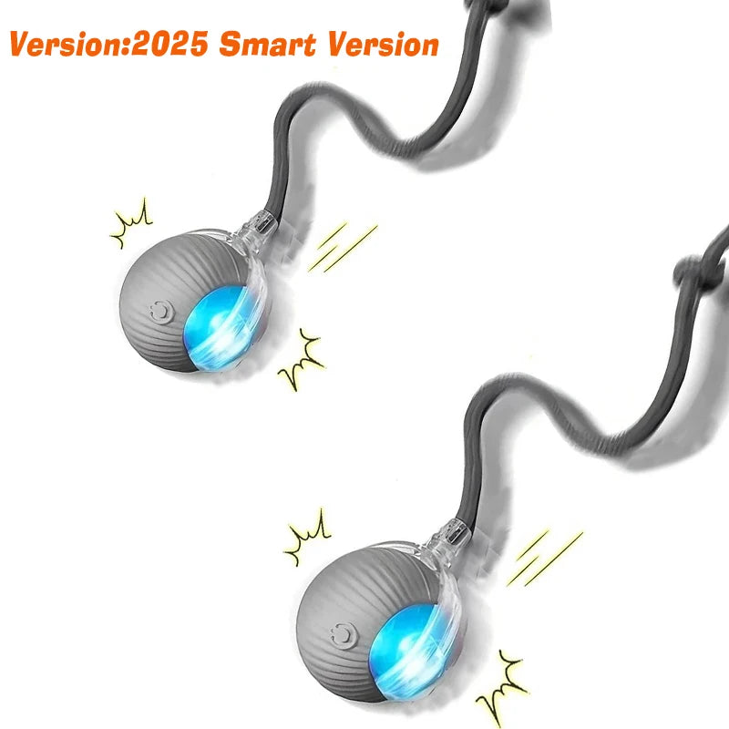 SmartBall™ 2025 Interactive Intelligent Dog Toy