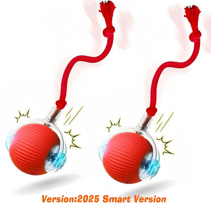 SmartBall™ 2025 Interactive Intelligent Dog Toy