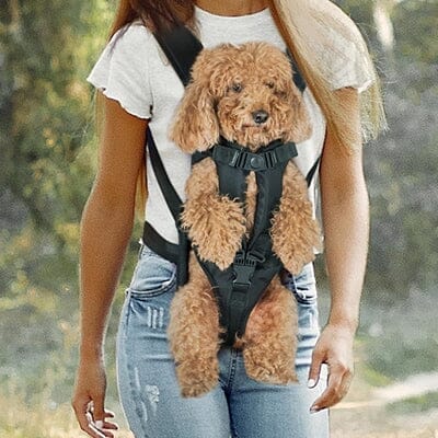Sac à dos pour chien noir – sécurisé PetCarrier™