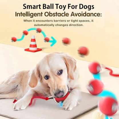 SmartBall™ 2025 Interactive Intelligent Dog Toy