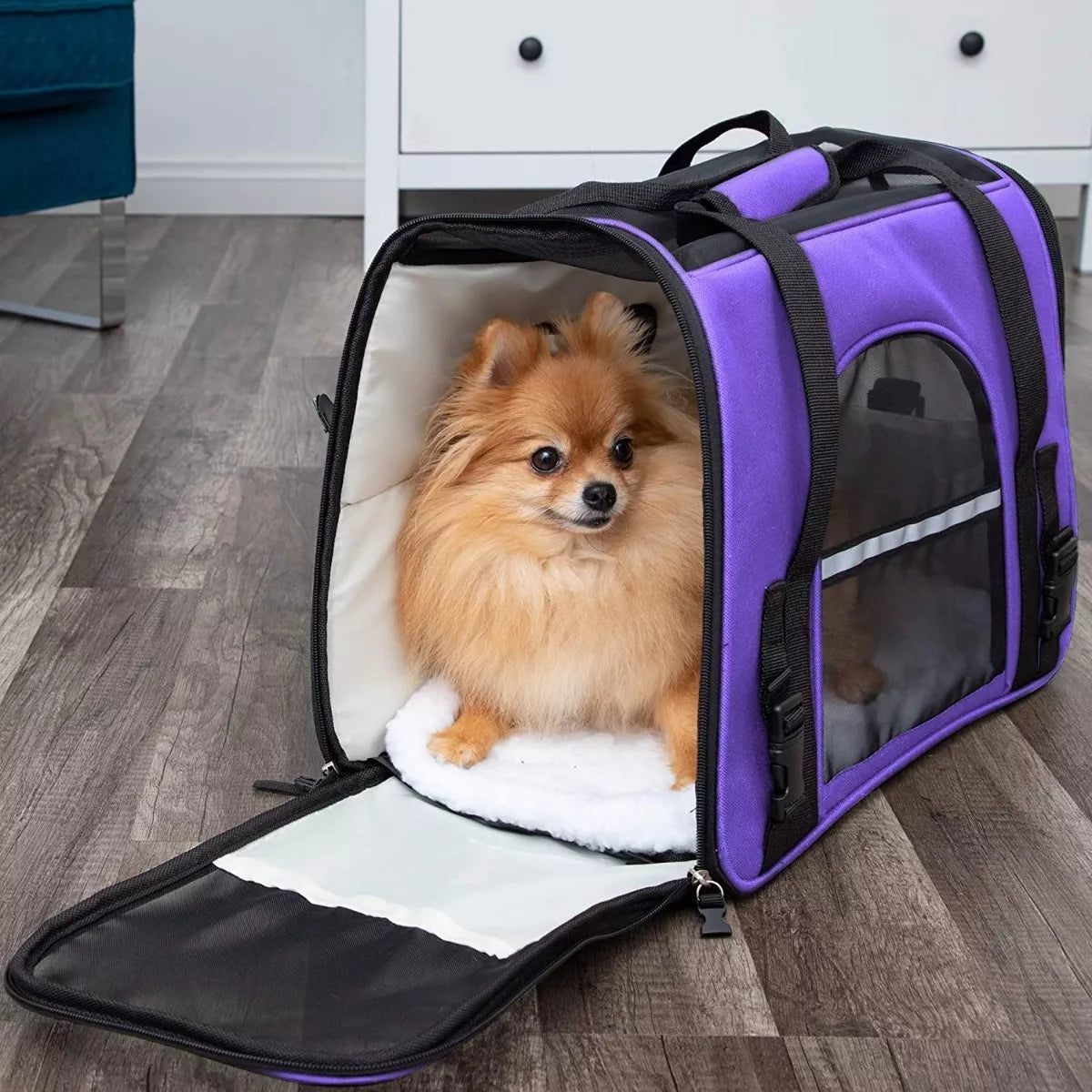 Sac transport pour chien DogCarrierBag™ violet – cage souple pour petit chien
