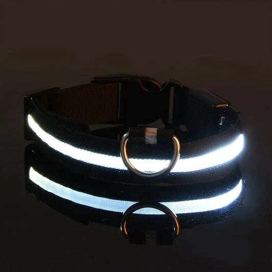 Collier LED pour chien LEDCollarDog™ noir – sécurité de nuit, lumière clignotante