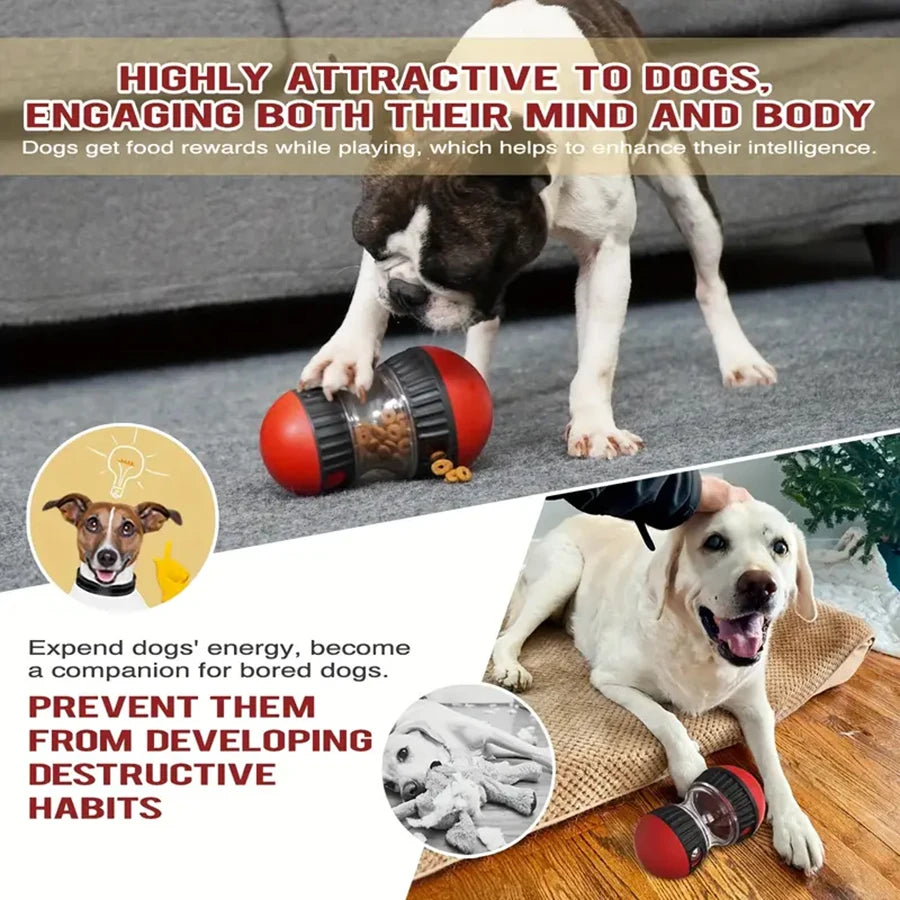 Balle distributrice de friandises pour chien, jouet d'entraînement à l'alimentation lente, distributeur de friandises pour animaux de compagnie, machine d'alimentation lente