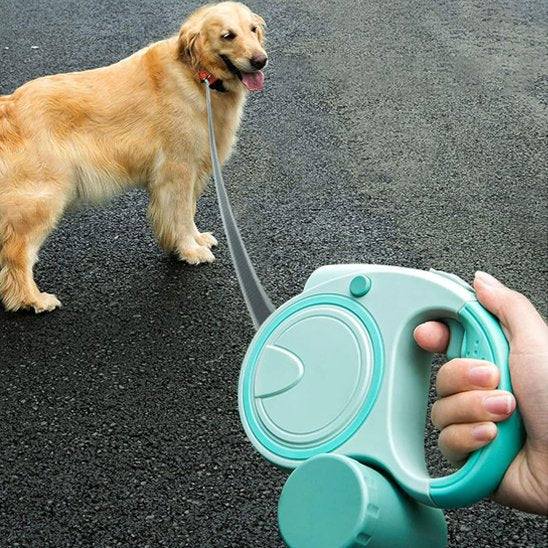 Dog Leash | Comfort Pro