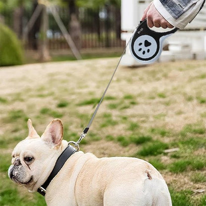 Laisse pour chien | Rétractable Liberté