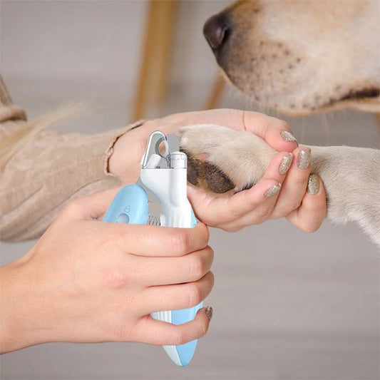 Coupe griffes pour chien | PattePrecision