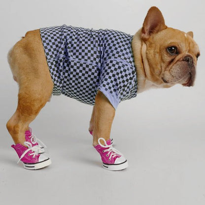 Dog Shoes | PawProtect