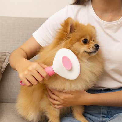 Brosse pour Chien | Anti-Nœuds Premium