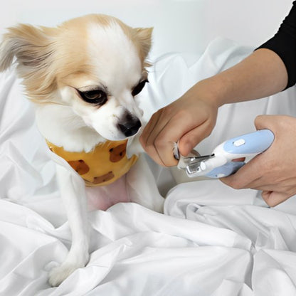 Coupe griffes pour chien | PattePrecision