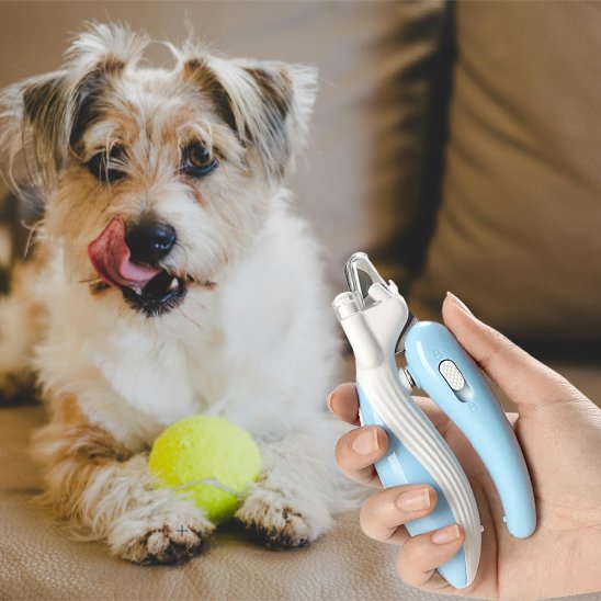 Coupe griffes pour chien | PattePrecision