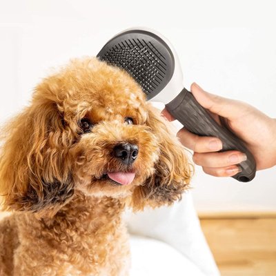 Brosse pour Chien | Anti-Nœuds Premium