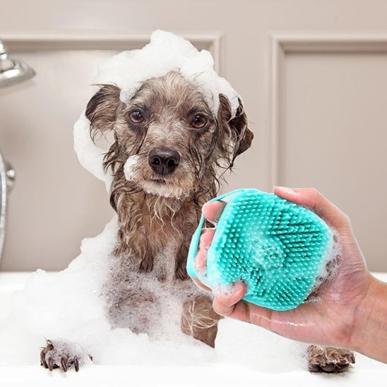Dog brush | Anti-tangle